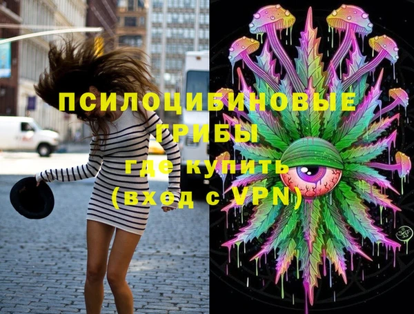 тгк Алзамай