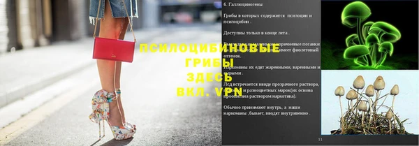 таблы Алексеевка