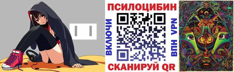 Псилоцибиновые грибы Cubensis  Асино 